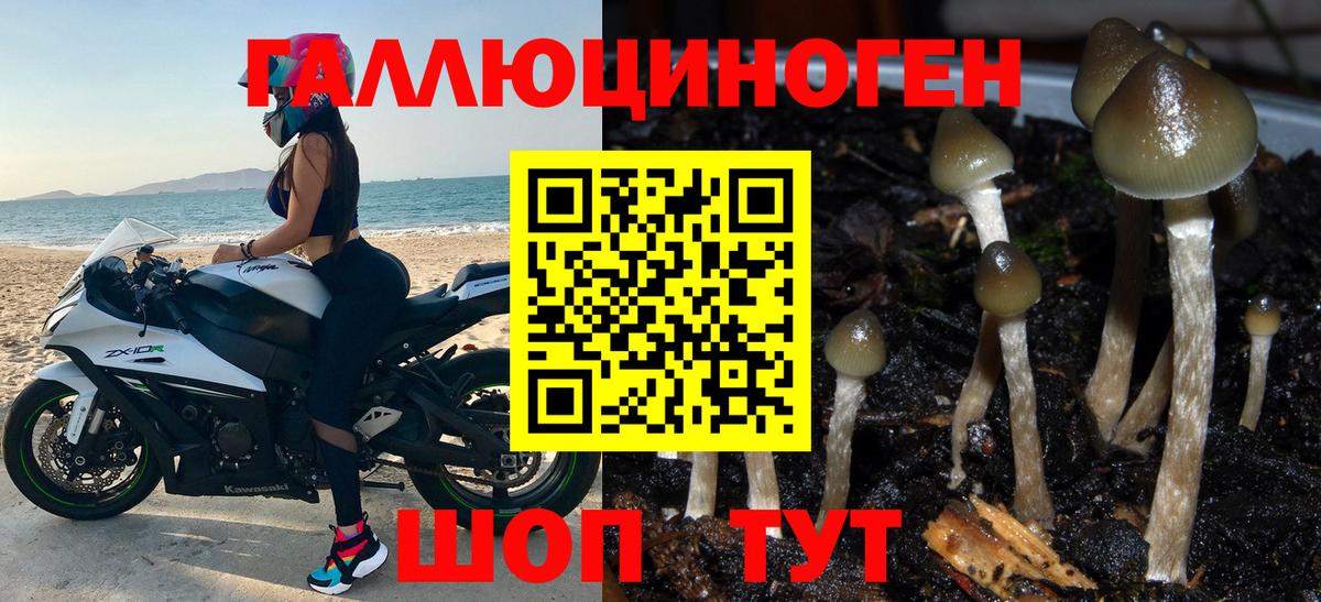 Псилоцибиновые грибы ЛСД  где купить   Вход с VPN  Химки  Галлюциногенные грибы Magic Shrooms 